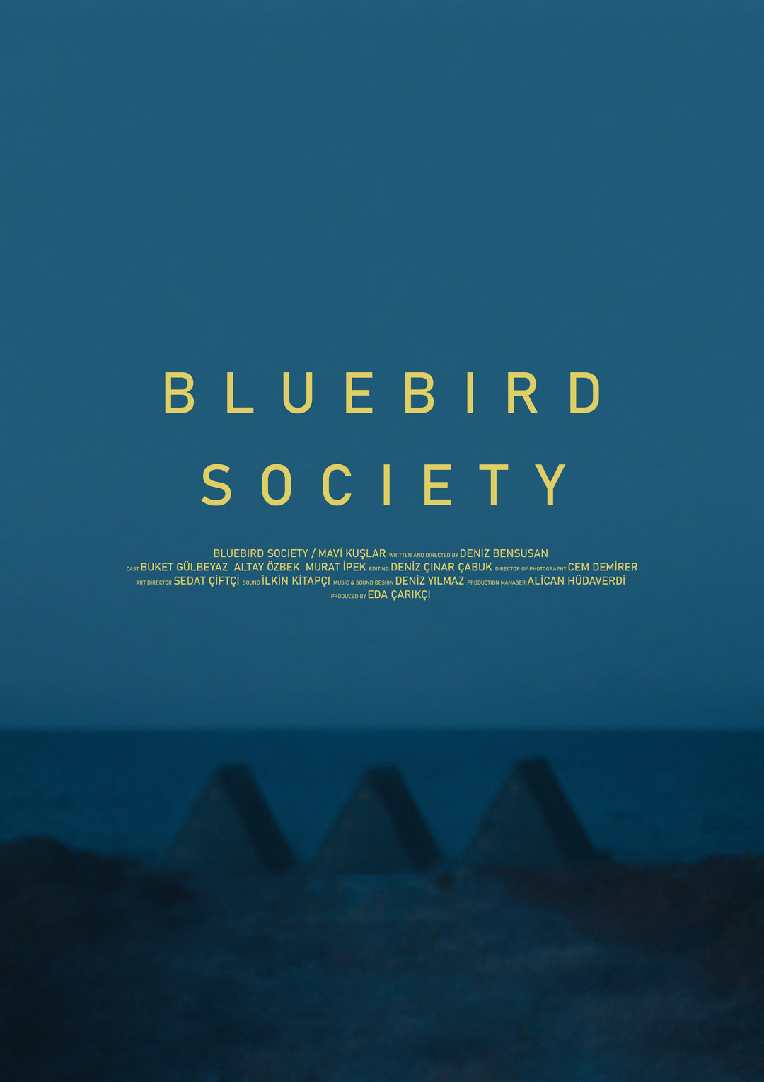BLUEBIRD_SOCIETY-web